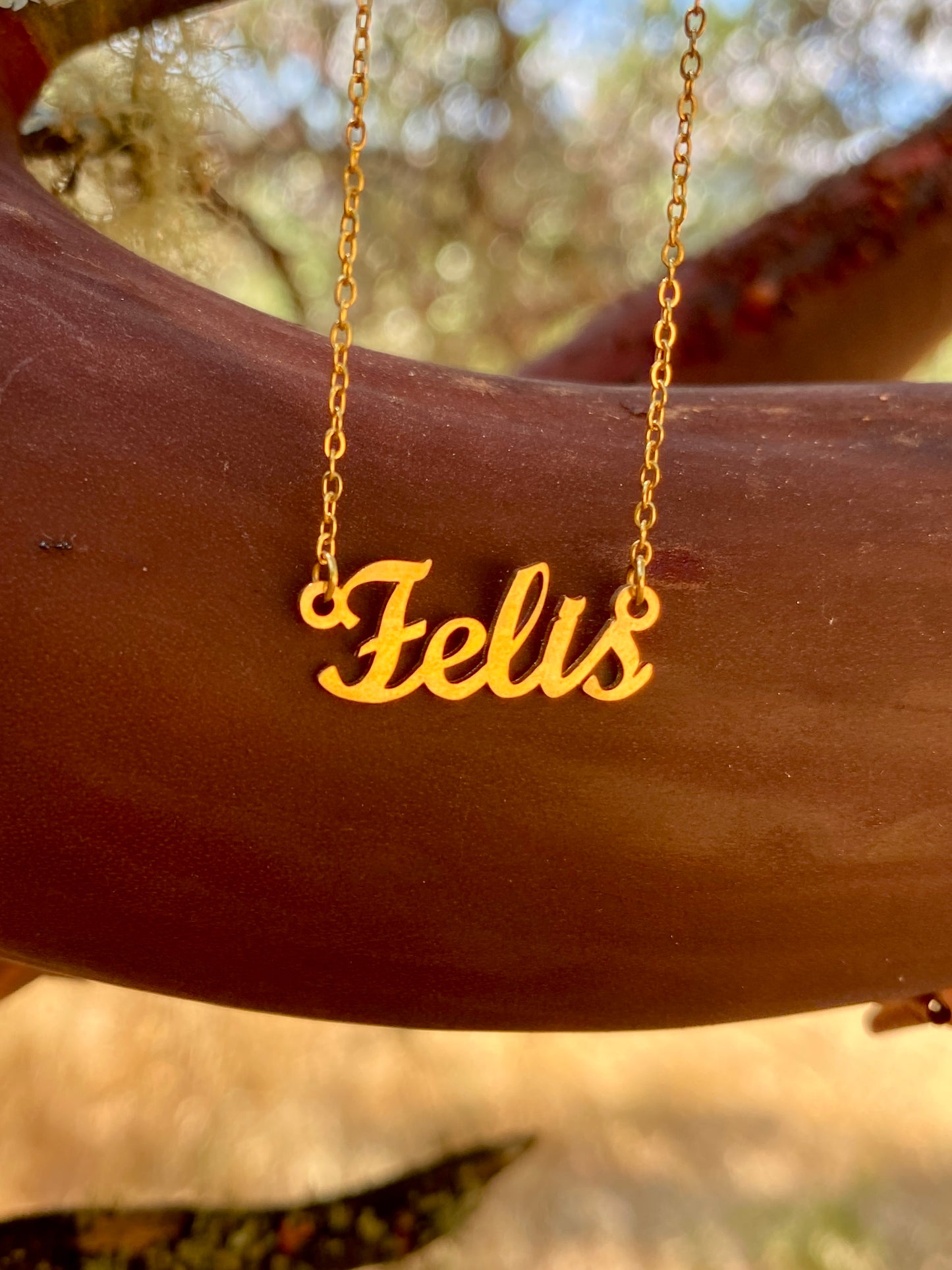 Felis Necklace – The Cat Genus