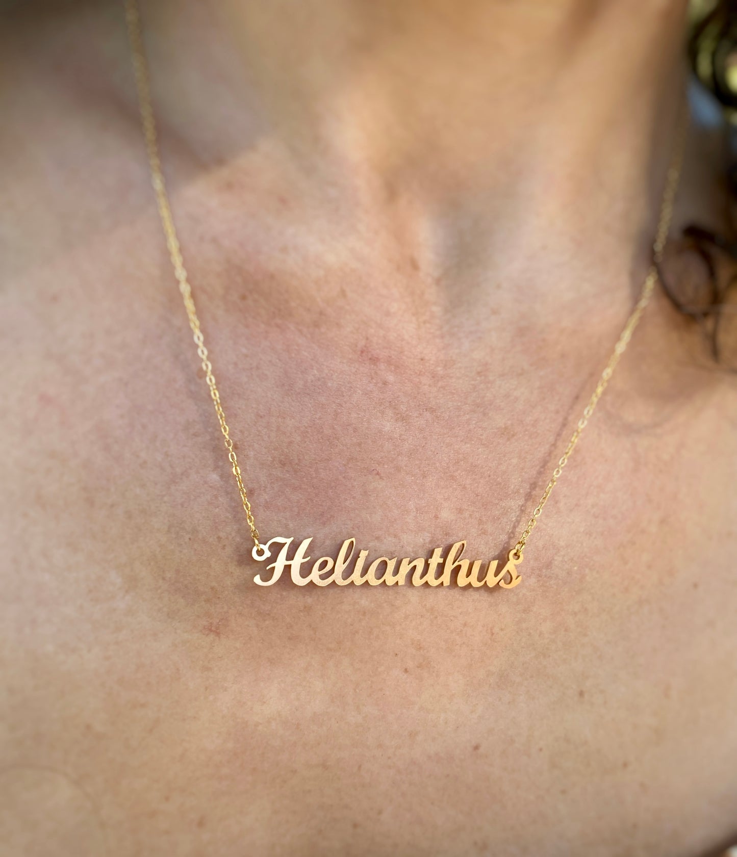 Helianthus Necklace – The Sunflower Genus