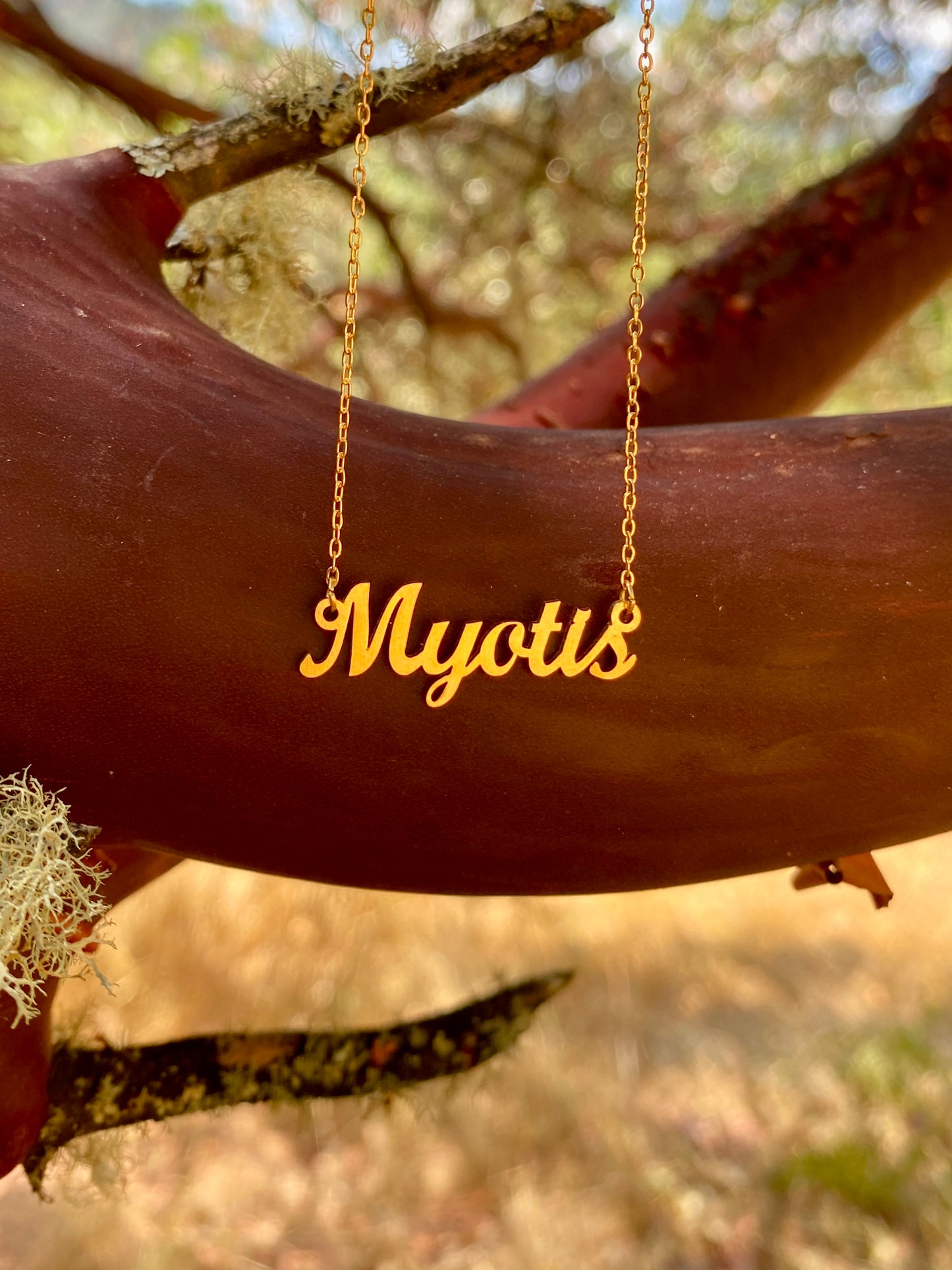 Myotis Necklace – The Little Brown Bat Genus