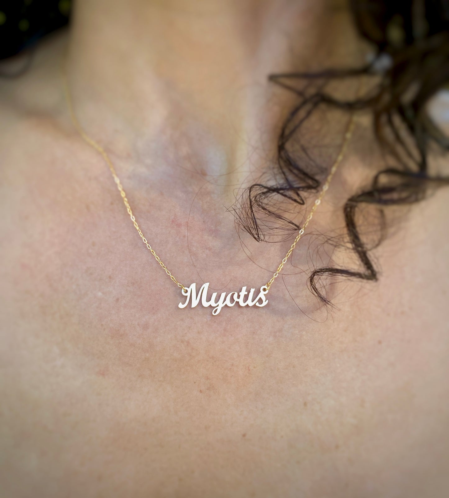 Myotis Necklace – The Little Brown Bat Genus