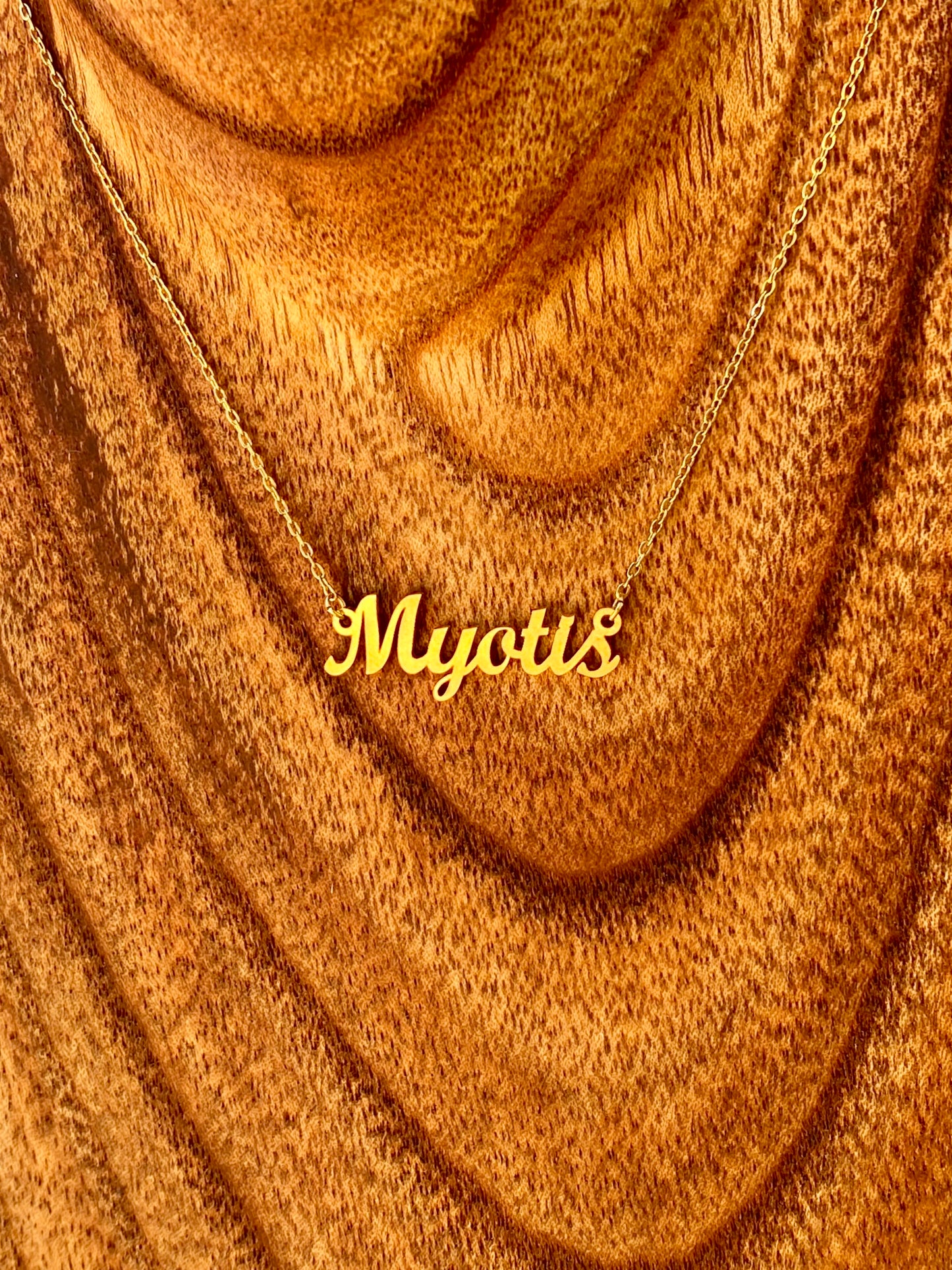 Myotis Necklace – The Little Brown Bat Genus