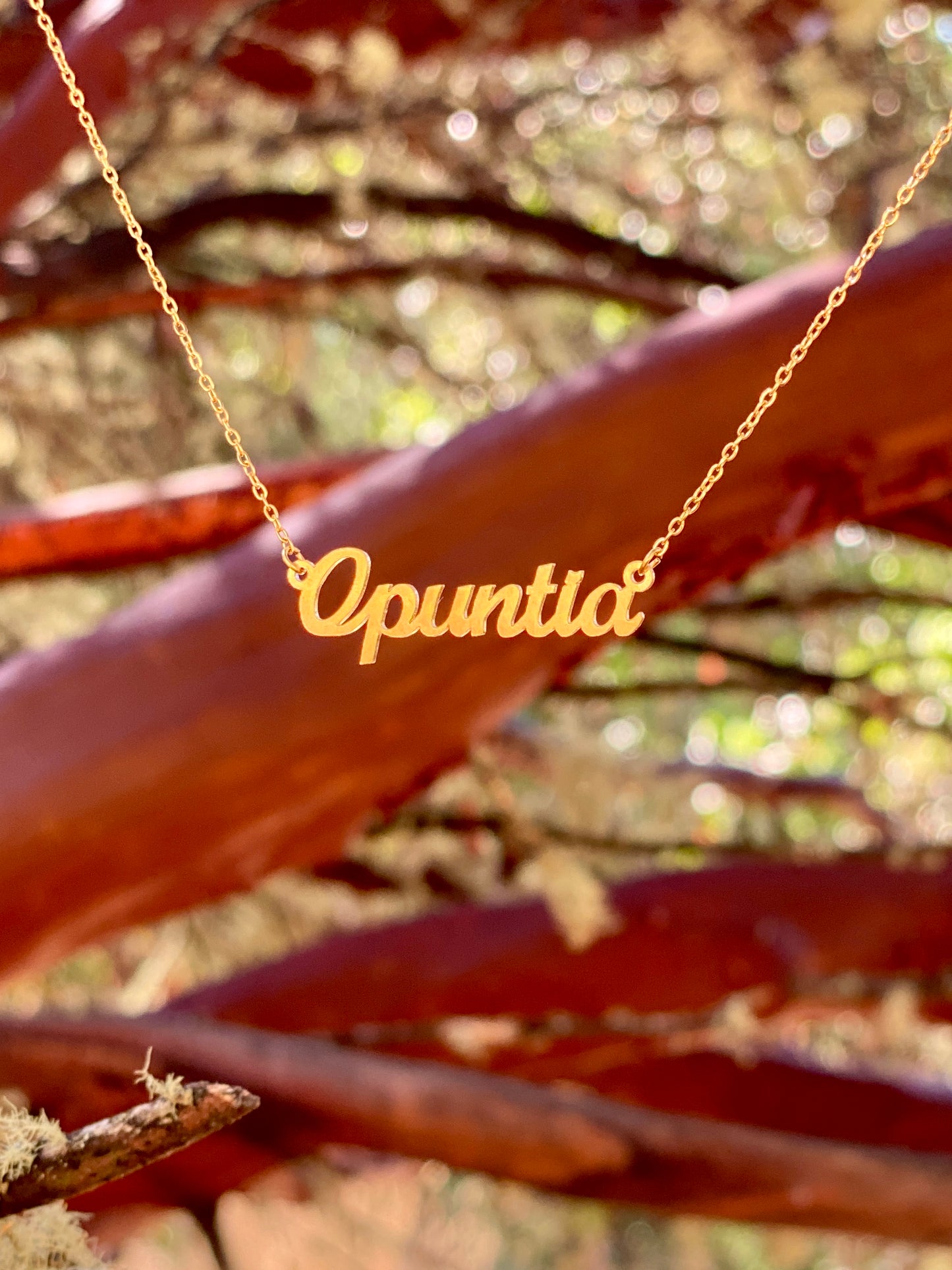 Opuntia Necklace – The Prickly Pear Cactus Genus