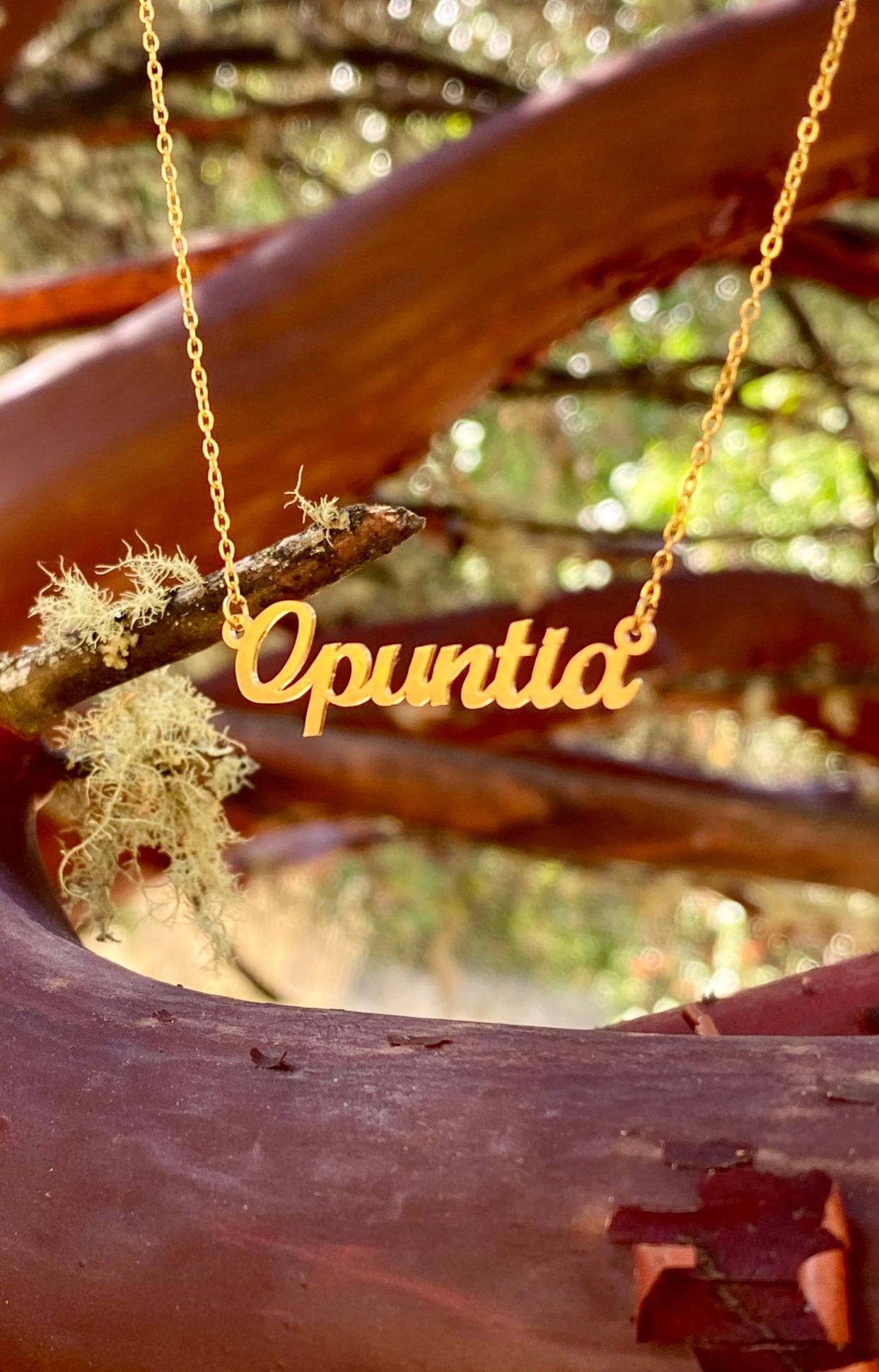 Opuntia Necklace – The Prickly Pear Cactus Genus
