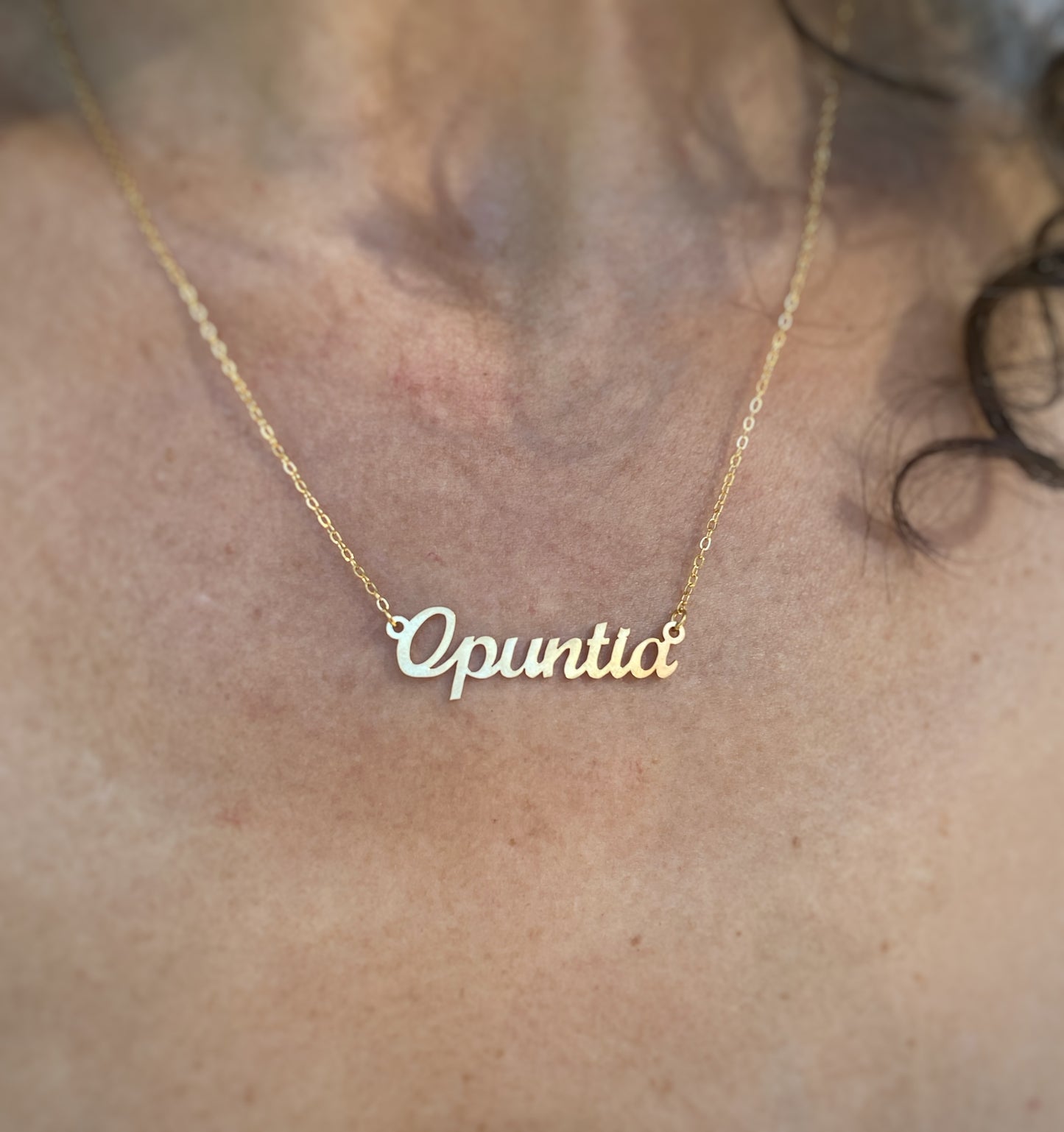 Opuntia Necklace – The Prickly Pear Cactus Genus