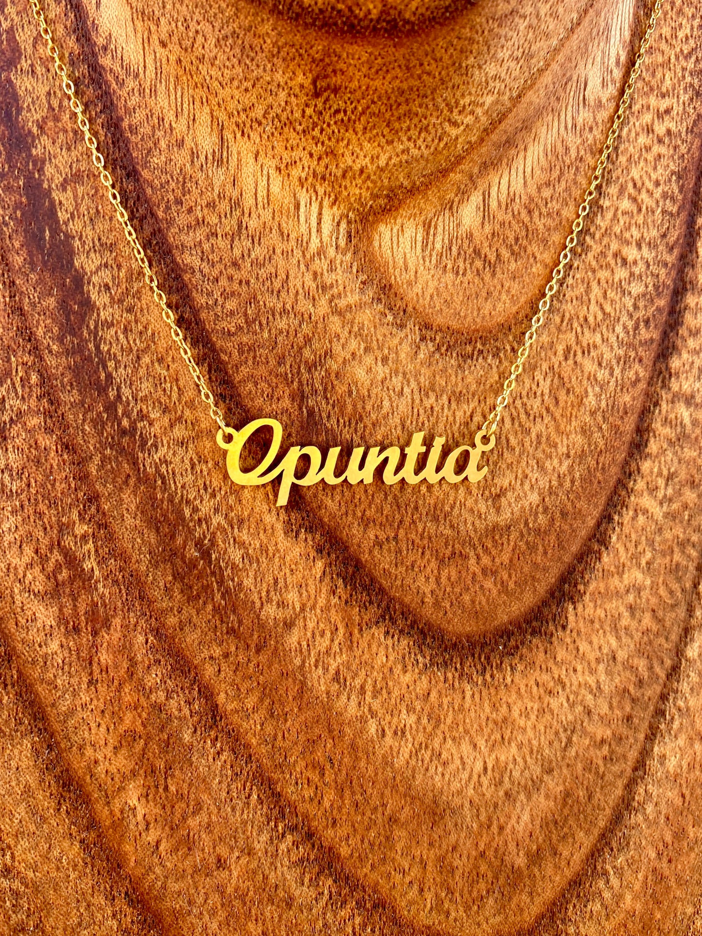 Opuntia Necklace – The Prickly Pear Cactus Genus