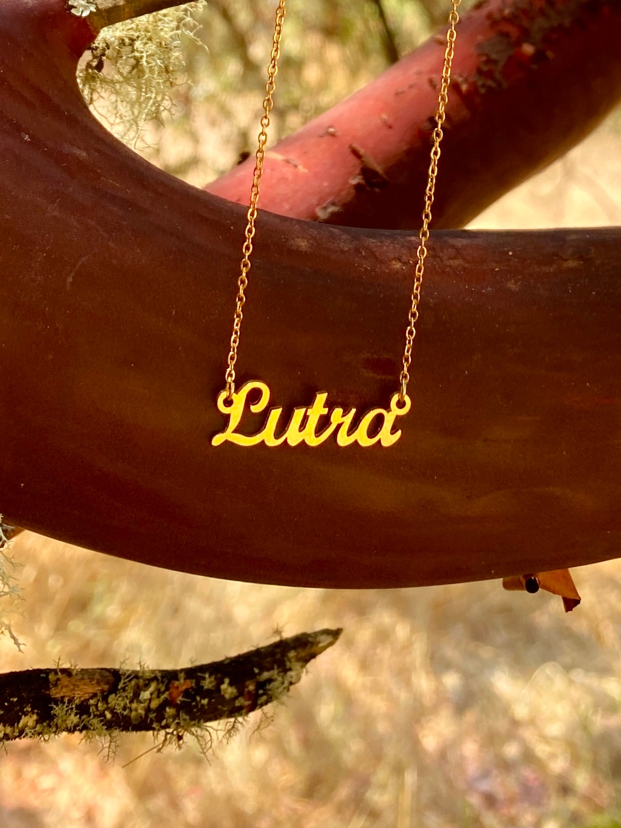 Lutra Necklace – The River Otter Genus
