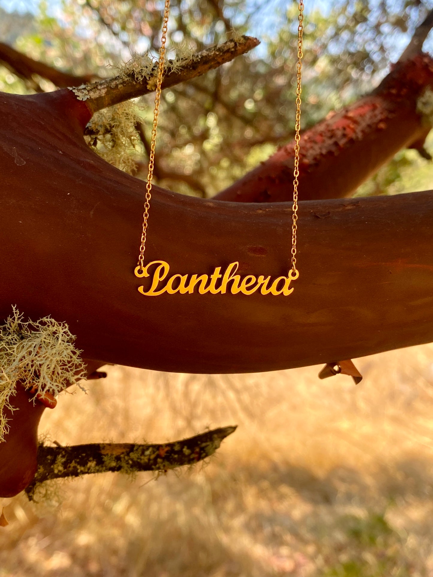 Panthera Necklace – The Lion and Tiger Genus