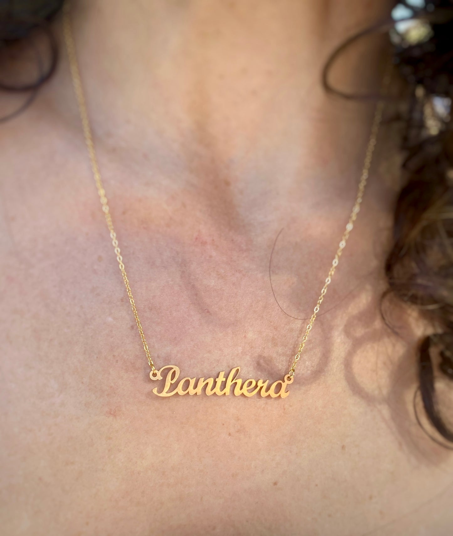 Panthera Necklace – The Lion and Tiger Genus