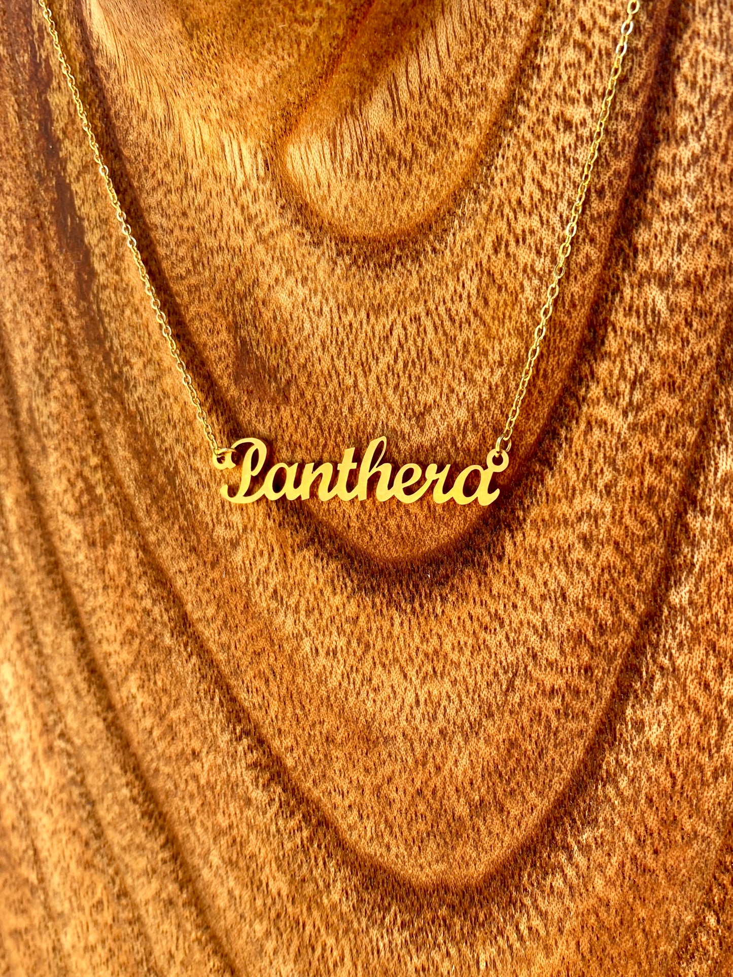 Panthera Necklace – The Lion and Tiger Genus