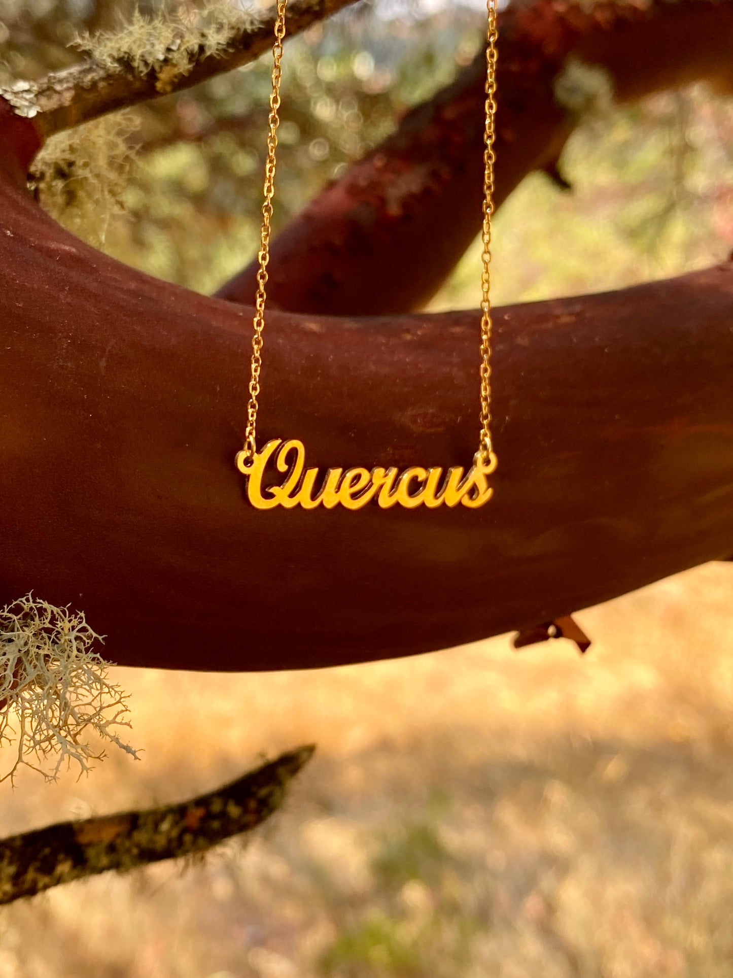 Quercus Necklace – The Oak Genus