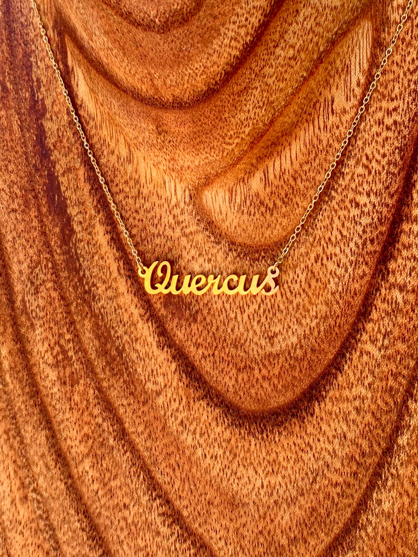 Quercus Necklace – The Oak Genus