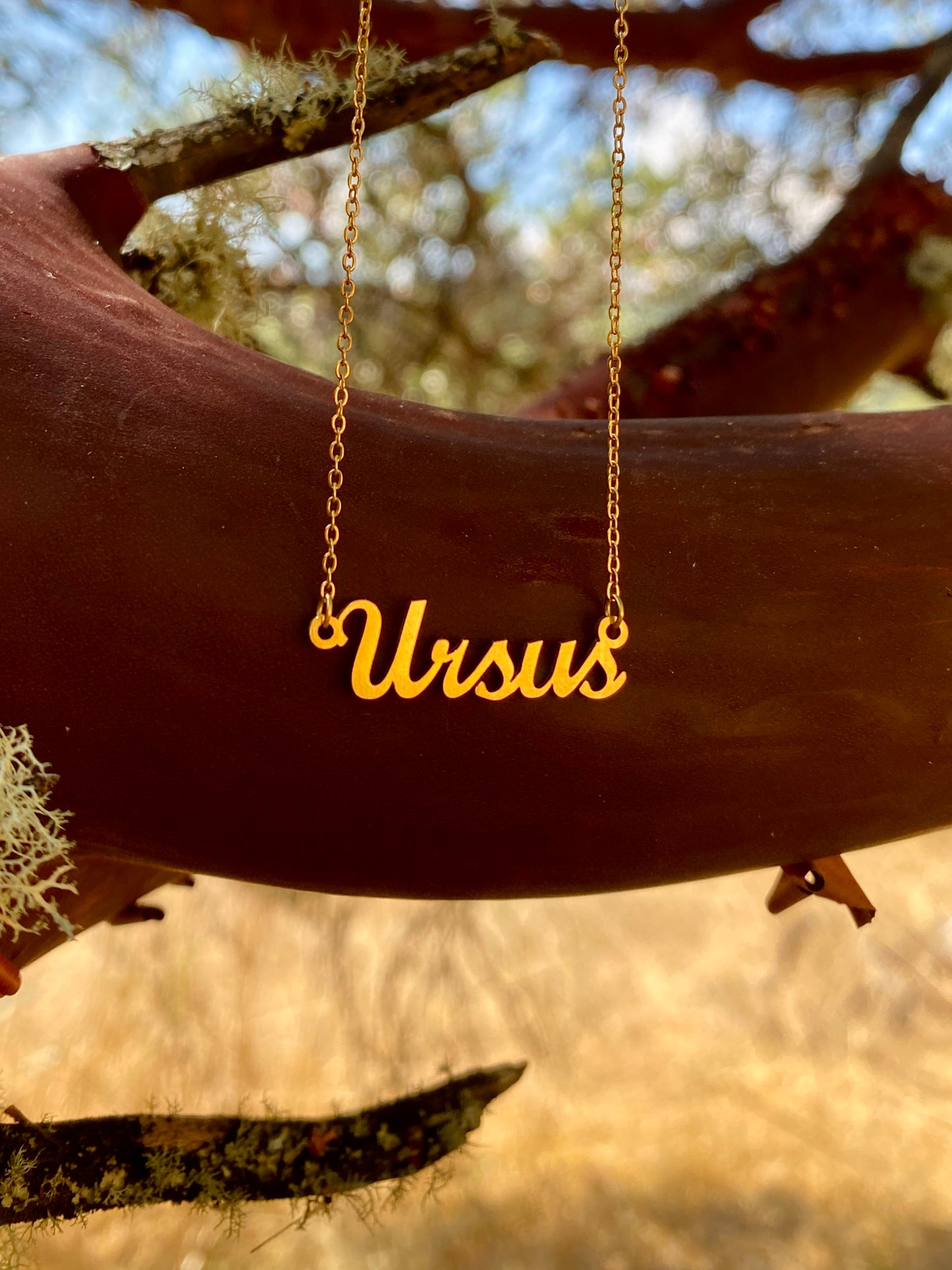 Ursus Necklace – The Bear Genus