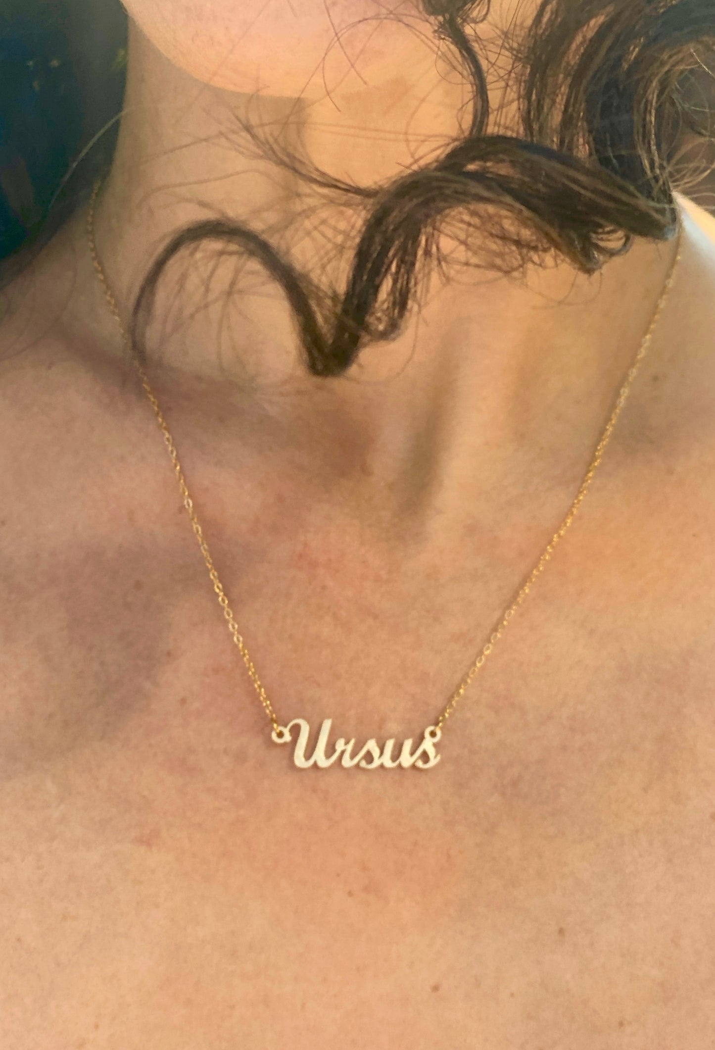 Ursus Necklace – The Bear Genus