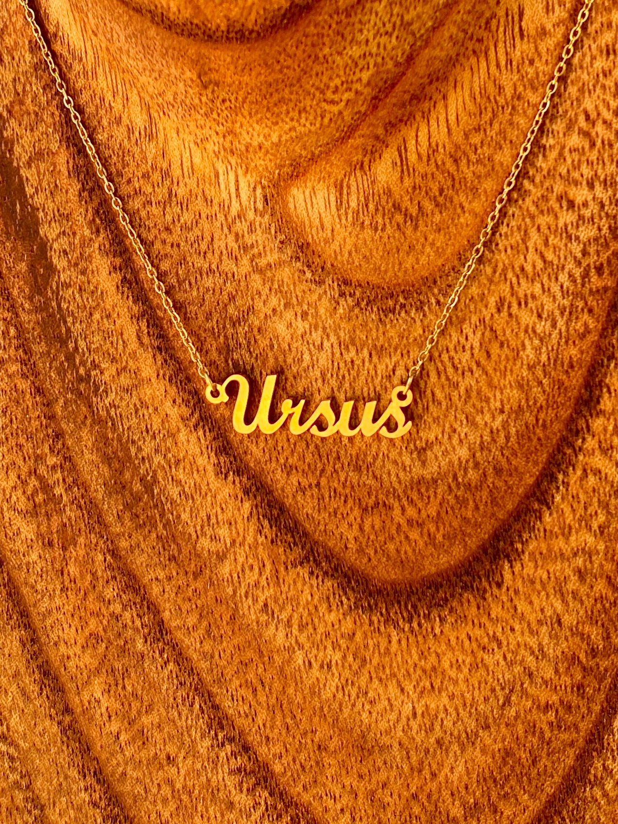 Ursus Necklace – The Bear Genus