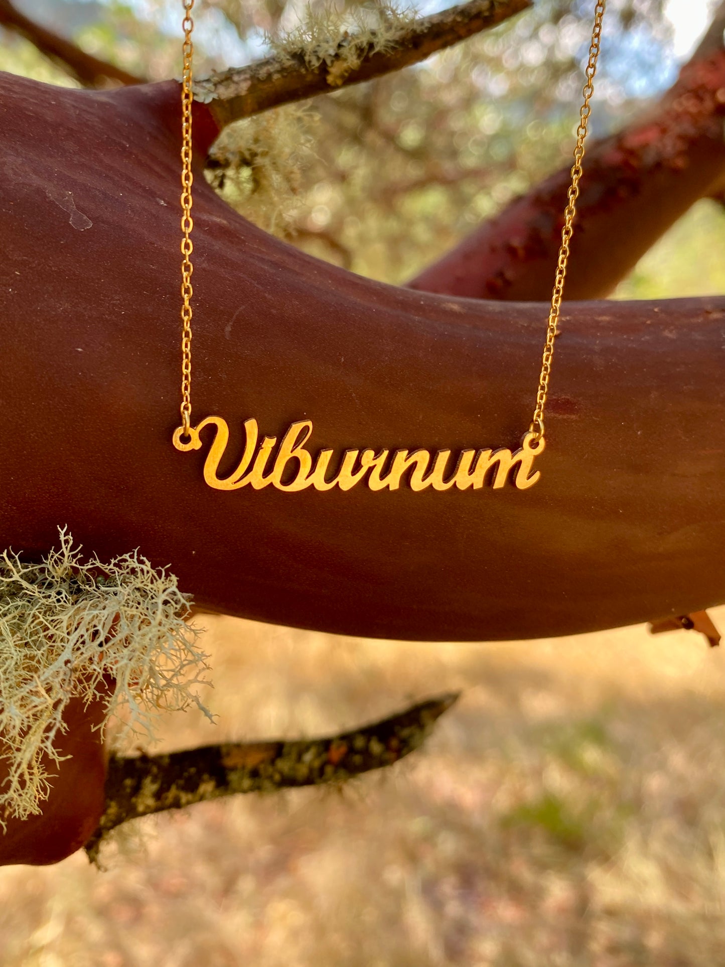 Viburnum Necklace  –The Cranberrybush Genus