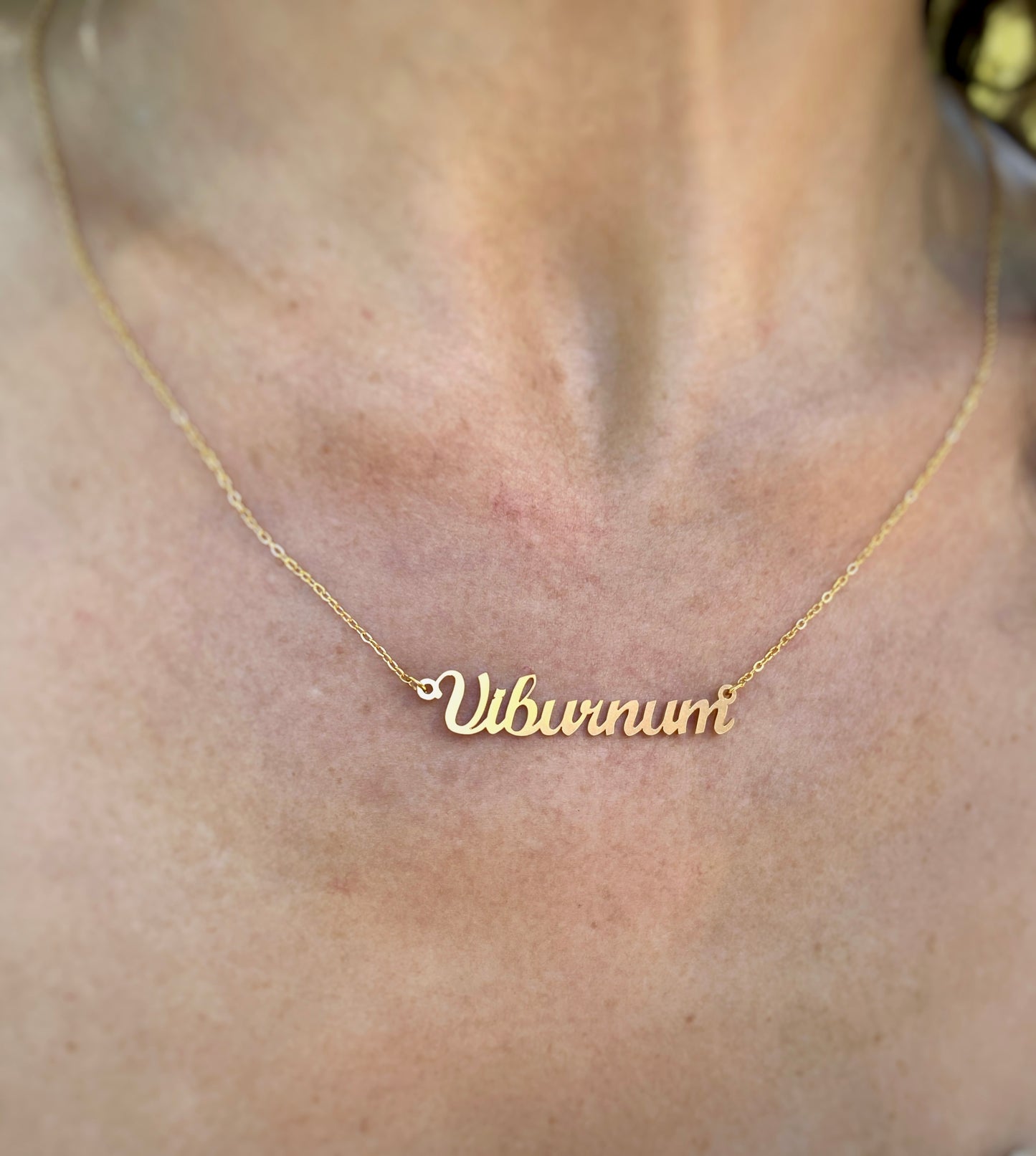 Viburnum Necklace  –The Cranberrybush Genus