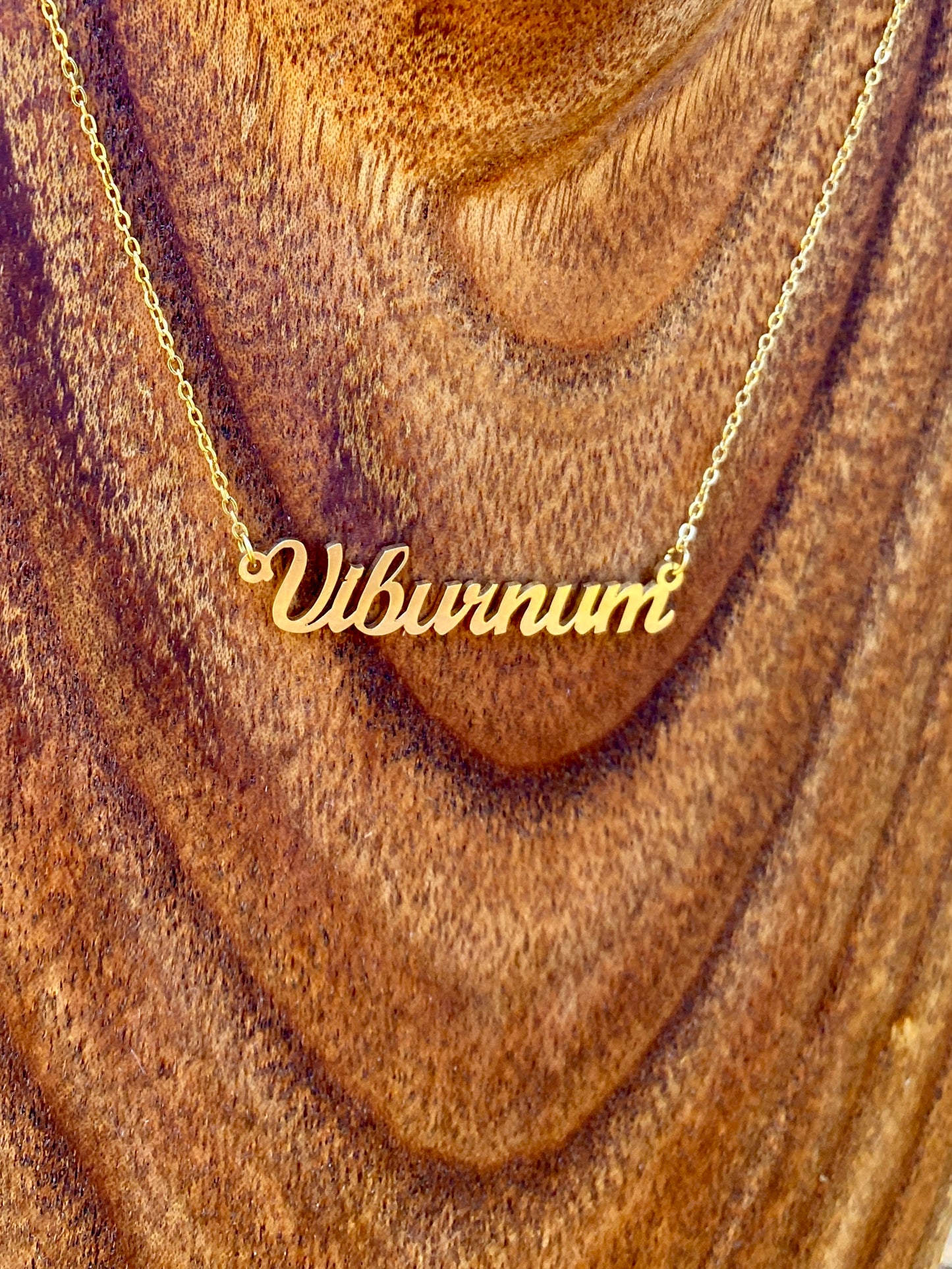 Viburnum Necklace  –The Cranberrybush Genus